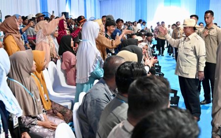 Panen Raya Jagung Bangun Optimisme Sektor Pertanian