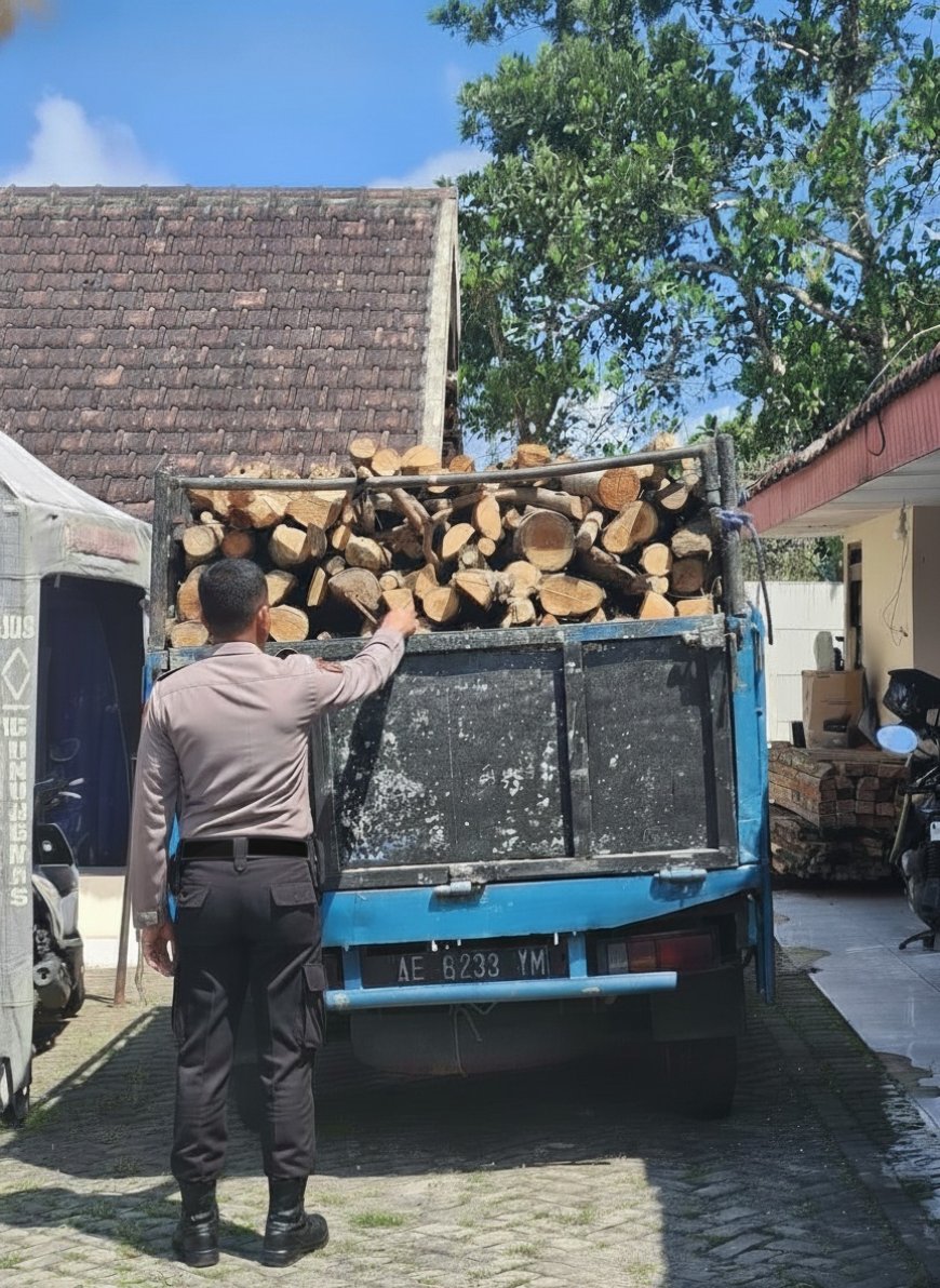 Dugaan Illegal Logging Berhasil Diusut Polisi