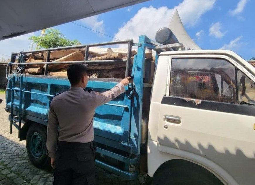 Truk Bermuatan Kayu Jadi Barang Bukti Kasus Pembalakan